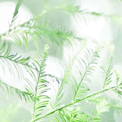 皮一下手游下载